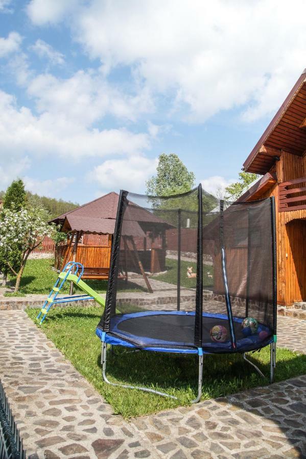 Hotel Pensiunea Nicol à Valea Iasului Extérieur photo